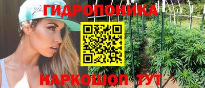тгк Обь