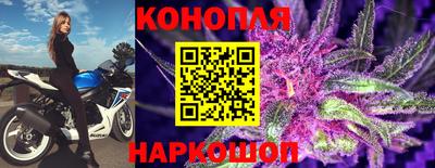 тгк Обь