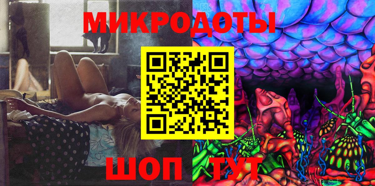 Псилоцибиновые грибы Psilocybine cubensis Алапаевск